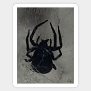 Spooky black spider Sticker